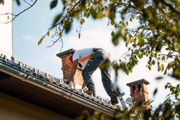 Gutter Installation and Roofing in Alderton, WA